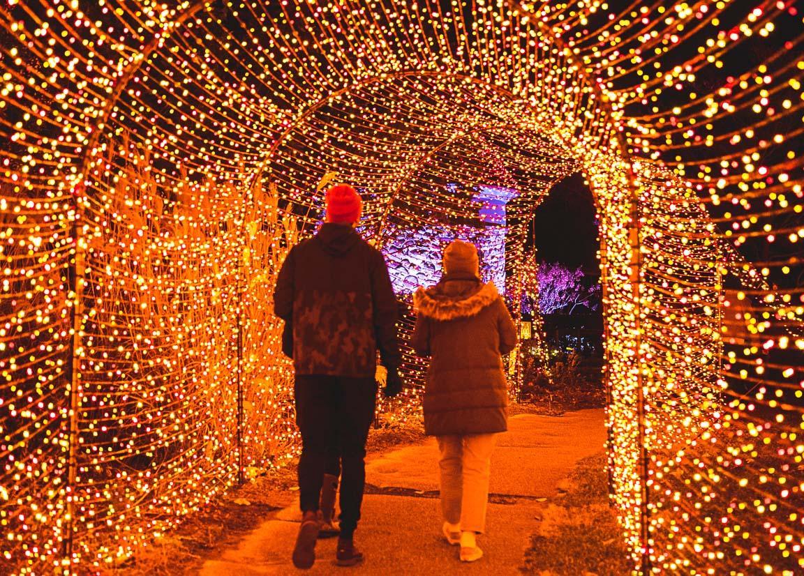 People walking a lighted path at Fernwood.