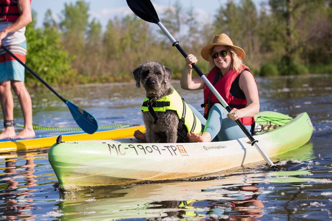 Kayaking with a dog. 